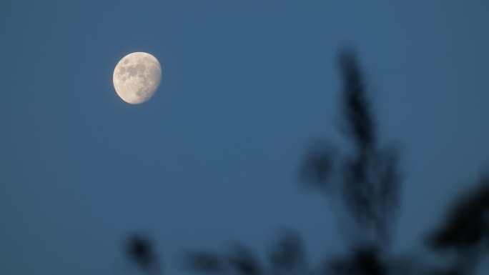 傍晚天黑前的月亮唯美凄美