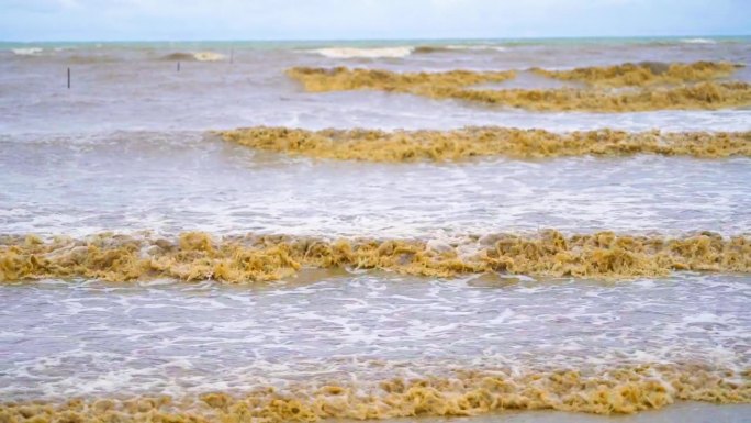 海滩上波涛汹涌，海水浑浊。