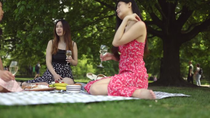 在中央公园的快乐时刻:亚洲女士举杯，珍惜野餐的经历