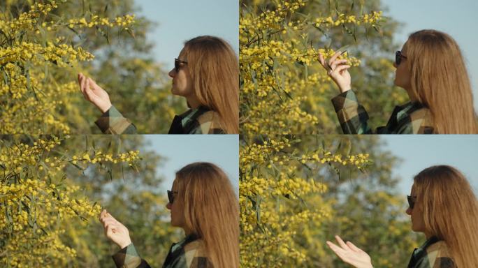 一位年轻女子走近一束黄色的金合欢花，一碰，花就碎了。蓝天，阳光明媚