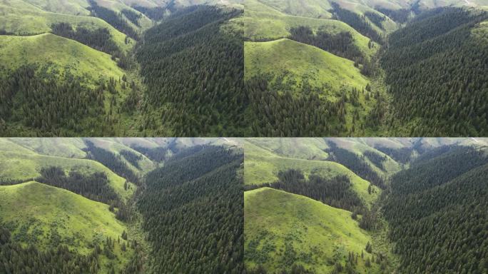 中国四川省阿坝山谷森林鸟瞰图