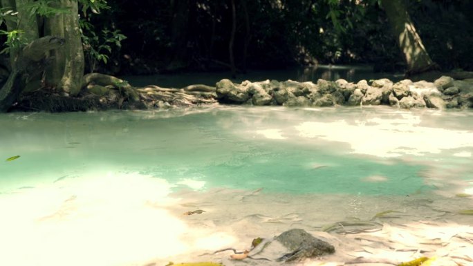 瀑布自然景树河宁静唯美清澈溪流山泉水