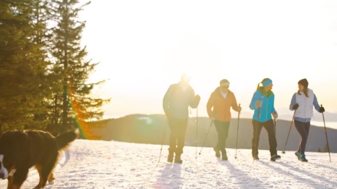 在傍晚的阳光下，四个人带着他们的狗在雪地里徒步旅行