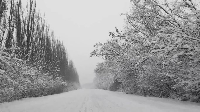 下雪时在森林里的冬季道路上开车。迎面而来的车辆。极端路况