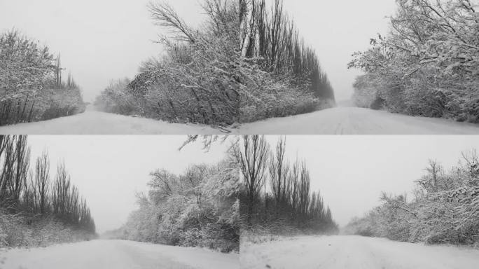 下雪时在森林里的冬季道路上开车。迎面而来的车辆。极端路况