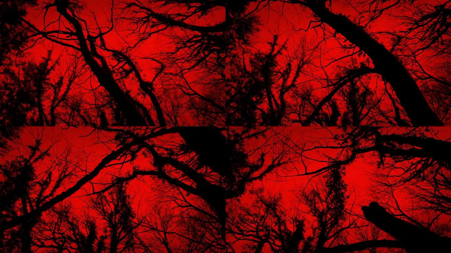 黑暗的树和红色的天空下可怕的行走POV