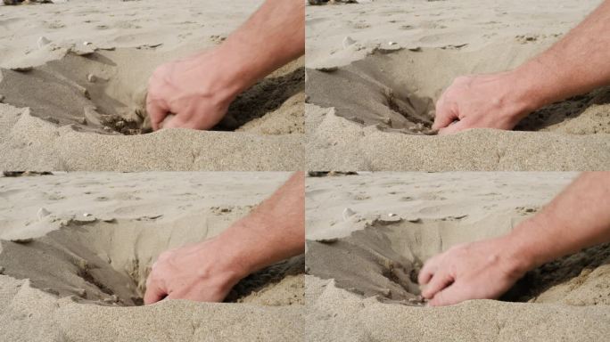 在沙子里挖个洞