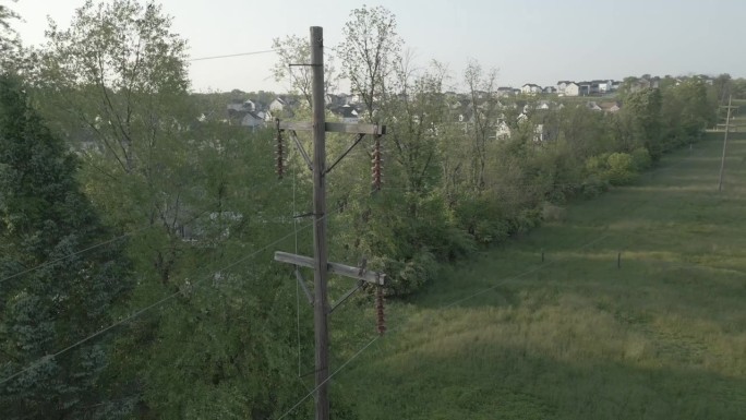 一架无人机从栖息在绿树成荫的电线杆上的鹰上方降落
