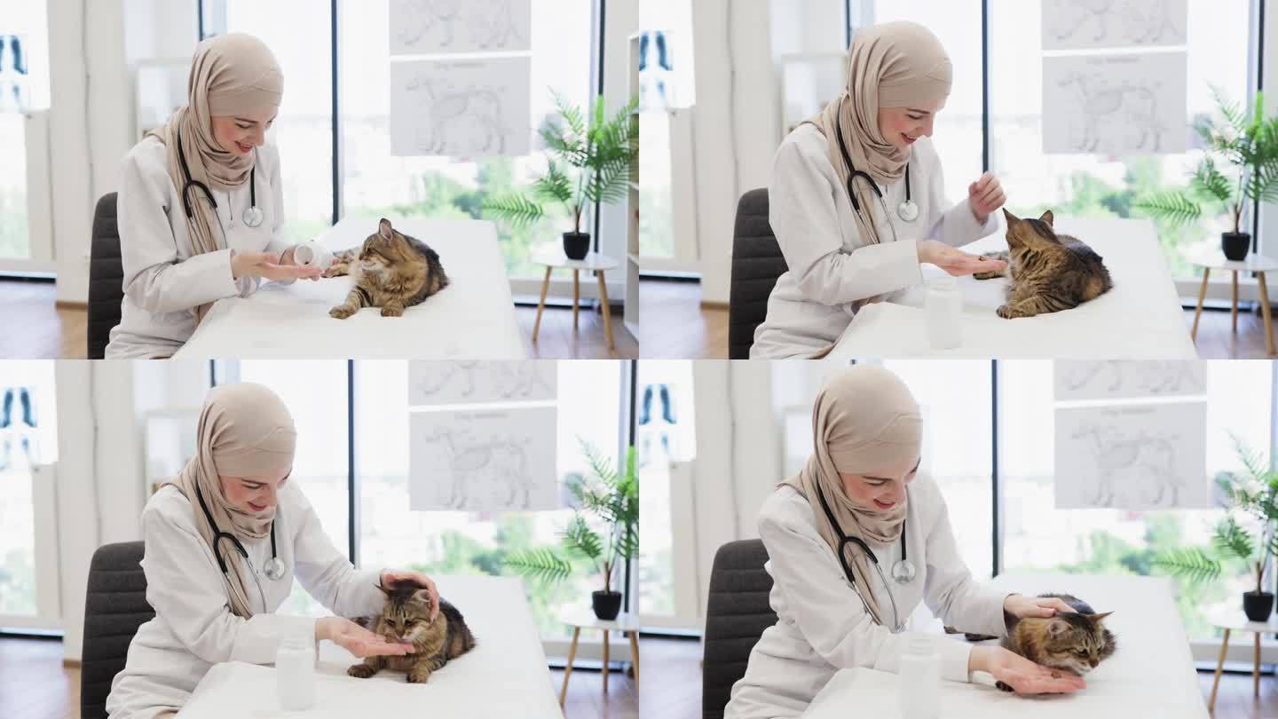 戴头巾的兽医正在给猫病人用药