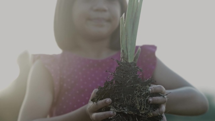 小女孩手里拿着小植物。拯救世界和生态理念。