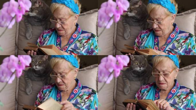 漂亮的老女人在家里看旧书和她的猫。