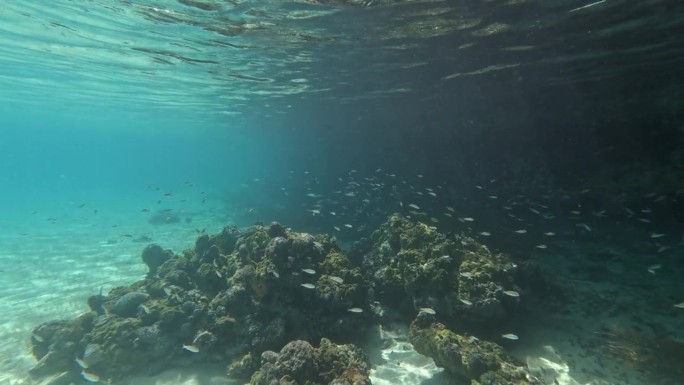 加勒比海的水下景观