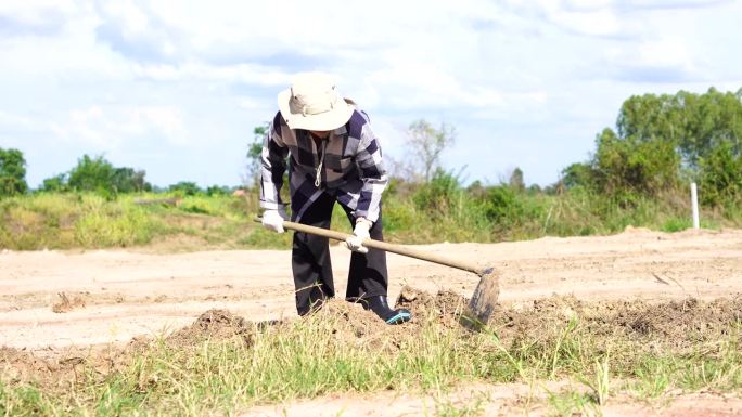 一名妇女正在挖洞，准备种树