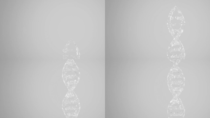 近距离的水DNA模型