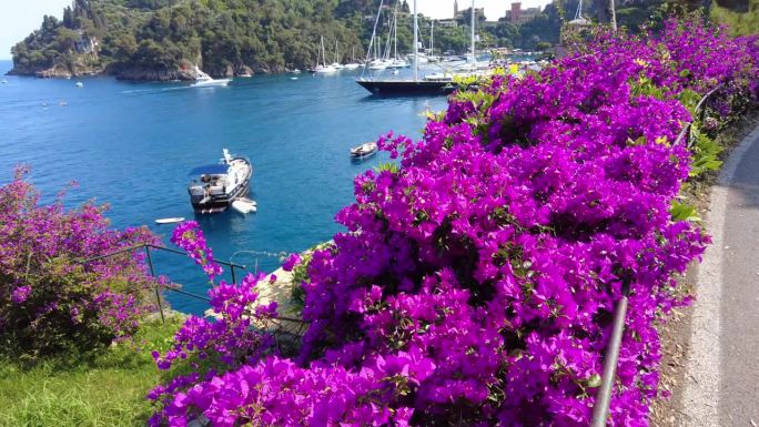 欧洲，意大利，波托菲诺——位于热那亚附近的提古利奥地中海国家自然保护区的波托菲诺湾——有船只和游艇的