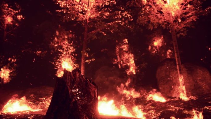 森林大火产生的强烈火焰