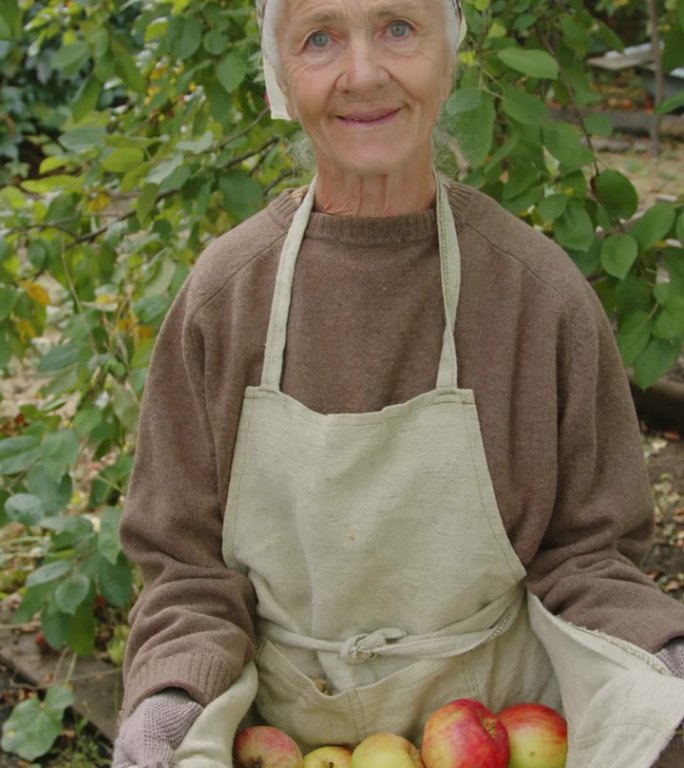 拿着熟苹果的奶奶肖像
