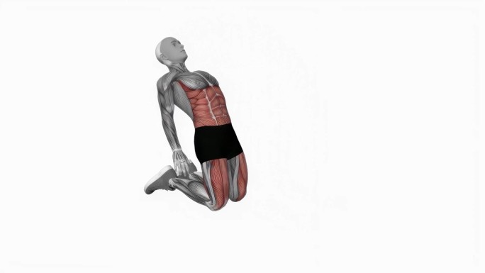 天花板看伸展健身运动锻炼动画男性肌肉突出演示4K分辨率60 fps