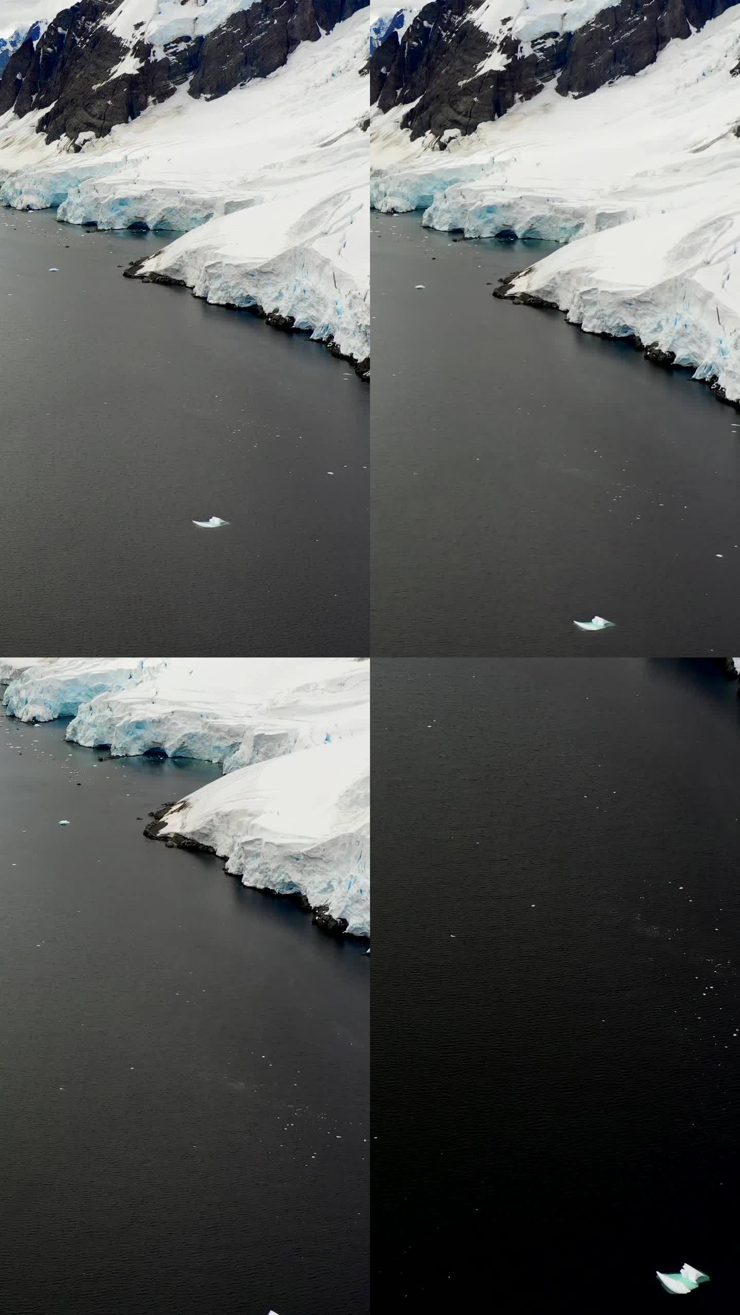 垂直视频南极洲美丽的南极海洋景观。