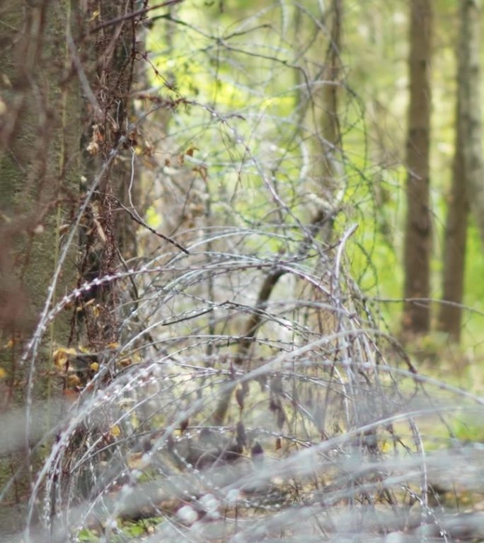 树林里的铁丝网。边界，禁区垂直视频。
