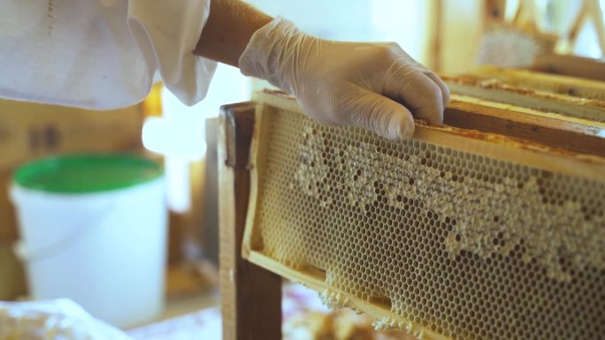 养蜂人用一种特殊的叉子打印蜂窝。