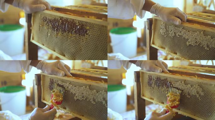 养蜂人用一种特殊的叉子打印蜂窝。