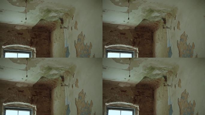 鸟住在灰泥摇摇欲坠的废弃旧砖房里。