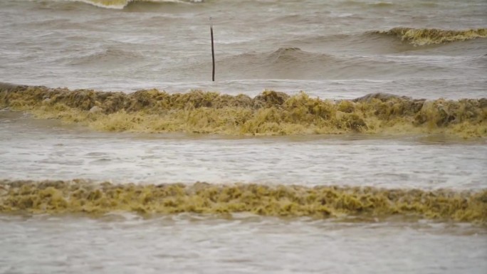 大海里的大浪打在沙滩上，海水浑浊。