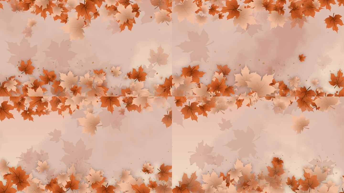 动画的黄秋枫叶。循环温和的抽象背景。