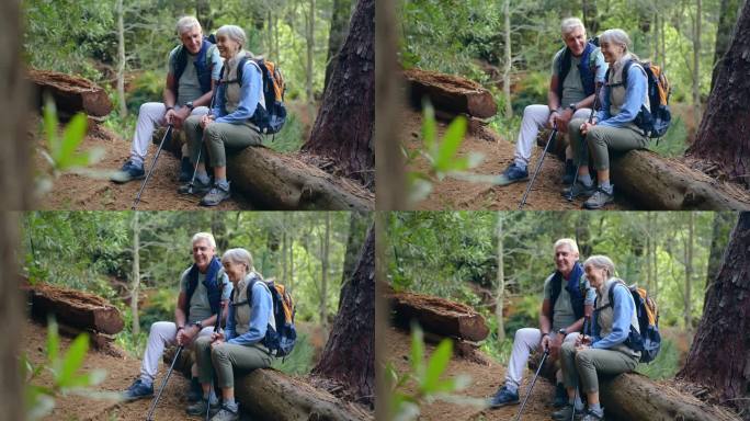 和老夫妇一起在大自然中探险、健身、度假、远足、旅行。快乐、退休、放松，与老年男女一起在森林里徒步旅行