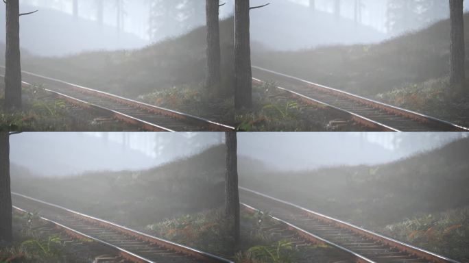 早晨，空荡荡的铁路穿过雾蒙蒙的森林