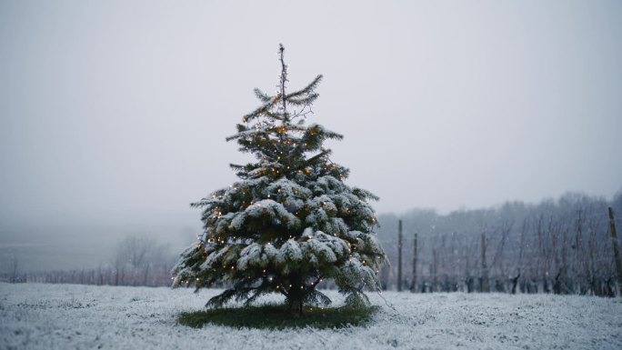 雪花落在装饰好的圣诞树上