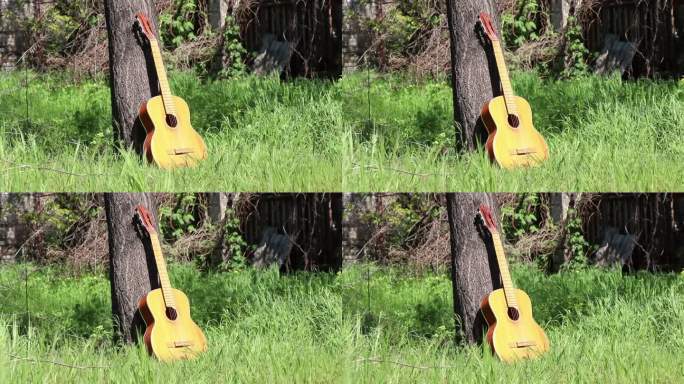 一个古老的吉他矗立在公园的草地上，在夏天的阳光下，在乌克兰，一个乐器