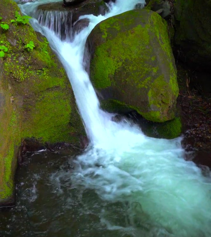 青森县武大和八幡台国家公园的瀑布/瀑布溪