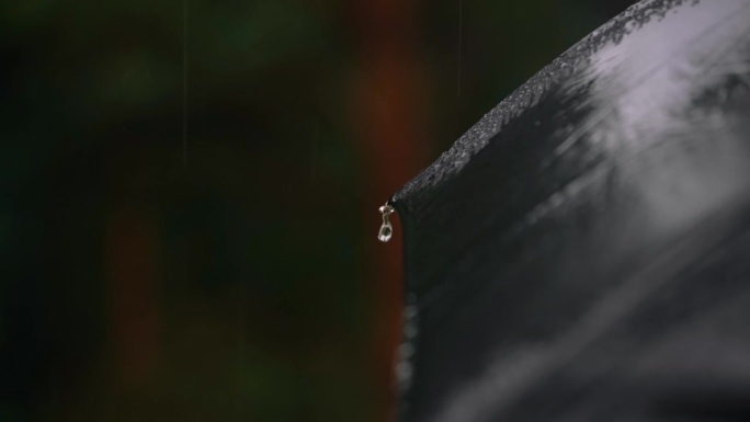 雨滴落在黑色的伞上，从伞上流下来。在城市公园散步时雨水充沛。特写镜头