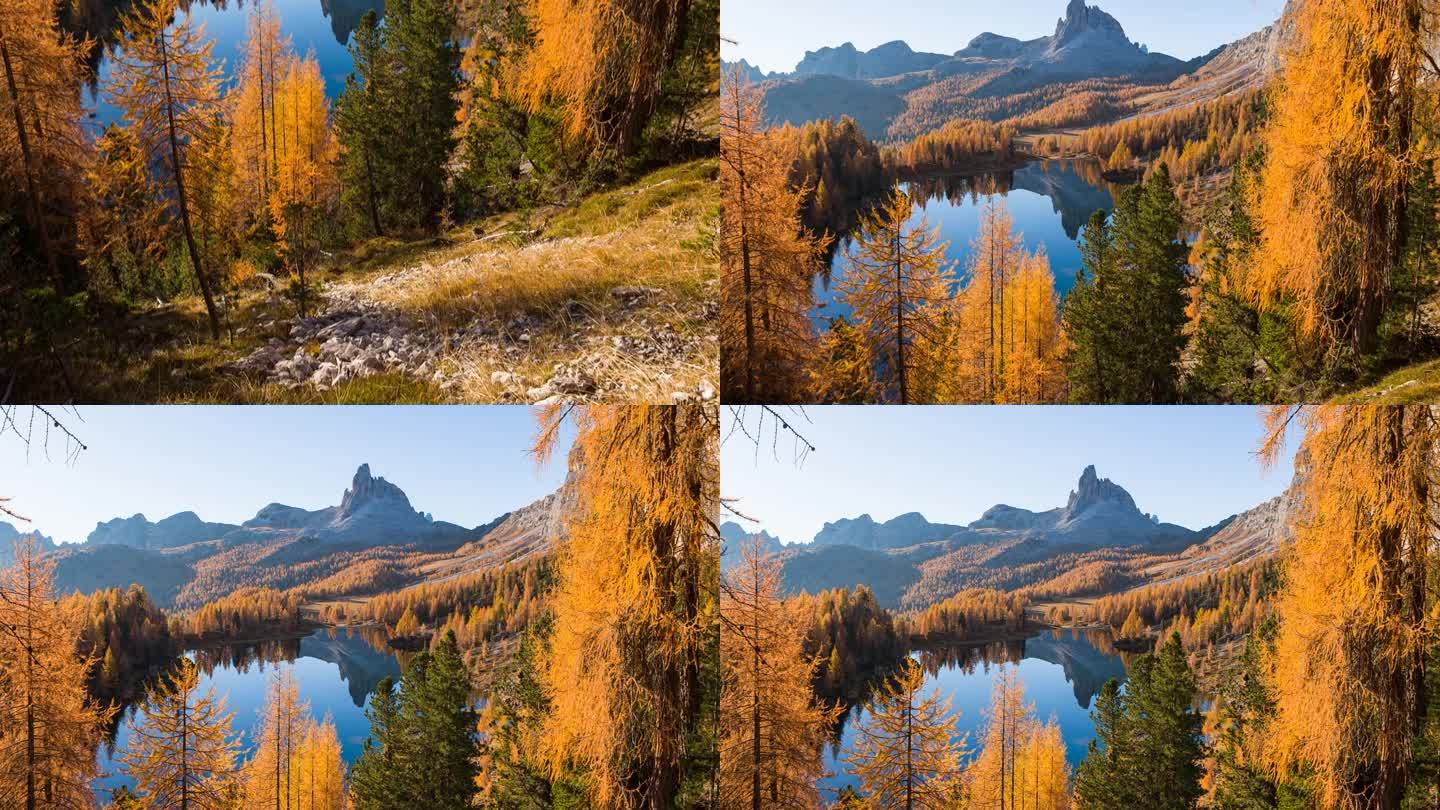 风景如画的山湖全景，橙色的落叶松