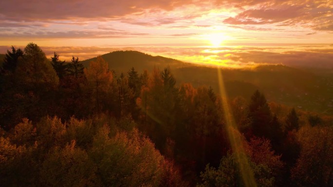 航拍，镜头光晕:壮丽的日落在乡村色彩缤纷的秋林