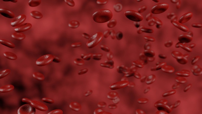 红血球在动脉的血流中移动。血红蛋白细胞的三维动画。红细胞在血液循环系统中的血管流动的医学三维动画。微