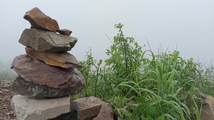 山崖边的石头金字塔和带着露珠的绿草在山间浓雾的衬托下随风摇摆。
