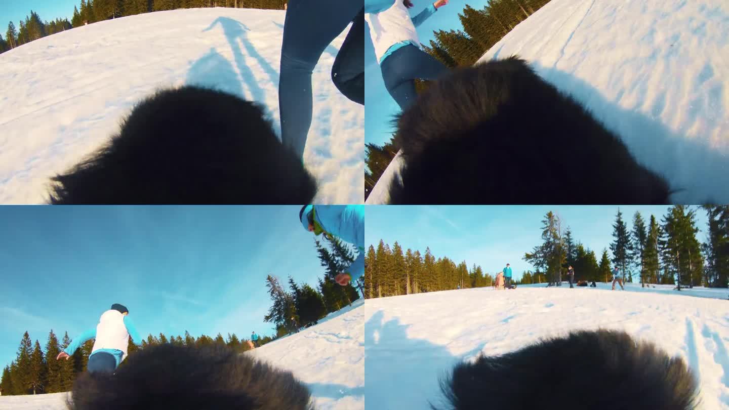 POV狗在雪地里追着主人跑时的视角