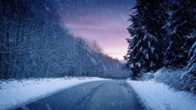 日落时分，森林里的路上飘着雪