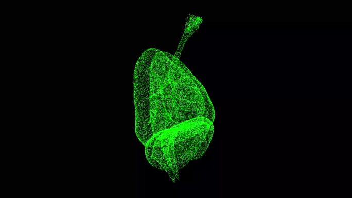 3D人体肺部在黑色bg上旋转。呼吸系统，人体。物体溶解了闪烁的微粒。科学的医学理念。用于标题，文本，