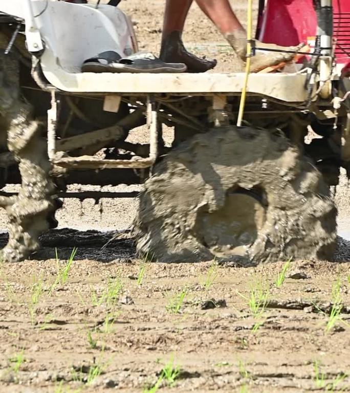 5倍水稻插秧机在垂直构图的田地上工作的慢动作