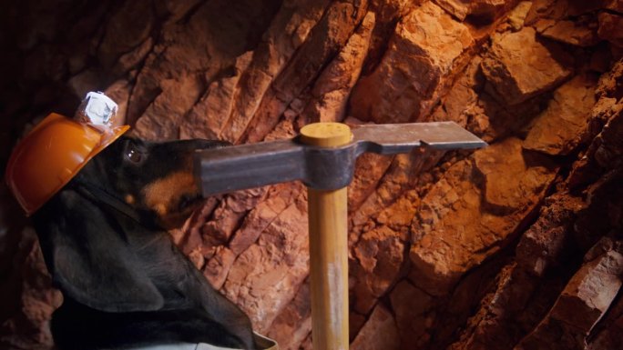 戴头盔的狗，手电筒，鹤嘴锄，在洞穴里敲石头