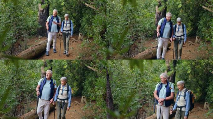 老年夫妇，森林和徒步旅行或在大自然中旅行，冒险和行走在背包和徒步手杖或装备。老年人在树林或丛林小径上