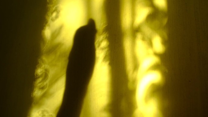女性手的模糊阴影在黄色墙壁背景与线条花卉图案，金色闪光散景。抽象，透光透影，自然光。大气的心情，舞蹈