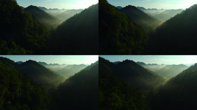清晨的山谷峡谷雾霾云雾航拍