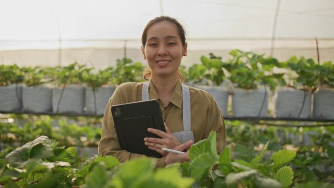 农场主小企业菜农农艺师玻璃大棚