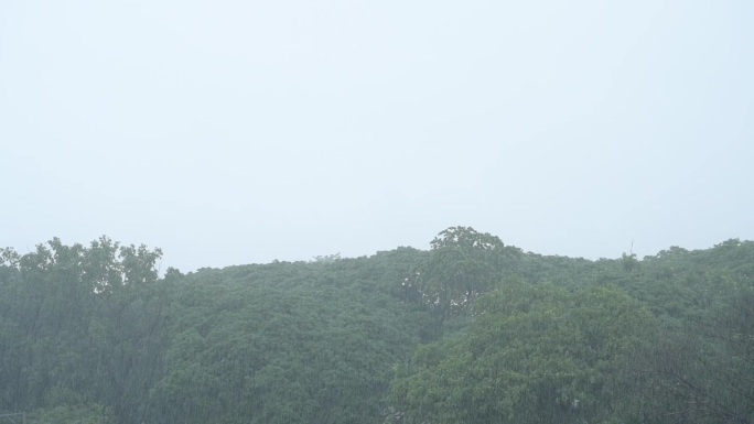 慢动作场景，一个风景优美的绿色景观，在雨季，山景