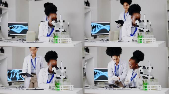 科学家用显微镜、团队合作和妇女用平板电脑进行植物研究或获取信息。科学、技术和女医学博士与实验室助理谈
